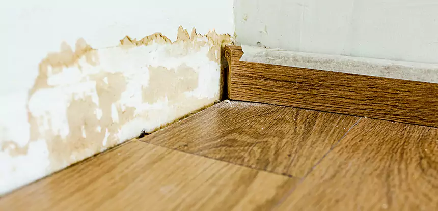 Professional Fix Water Damaged Wood Services in Epworth, GA